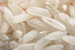Рис - Народнохозяйственное значение и распространение