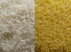 Рис - Исходный материал и методы селекции2